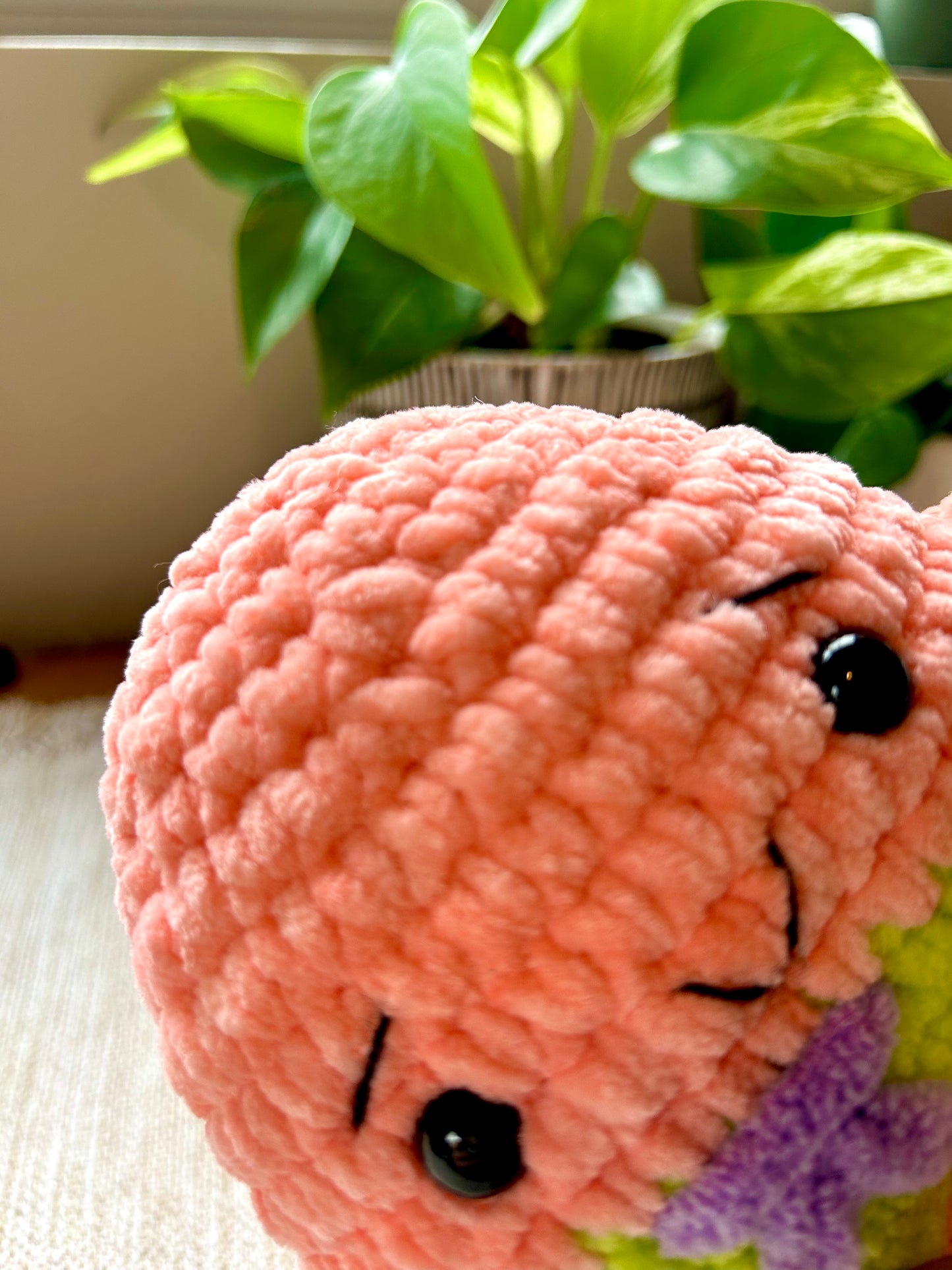 Chubby Star Friend | Handmade Crochet | Plushie