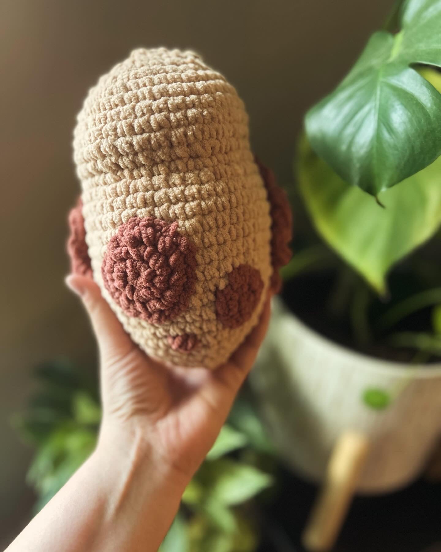 Slug | Handmade Crochet | Plushie